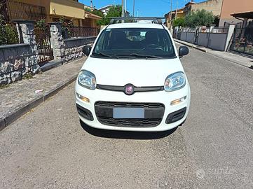 Panda Bianca