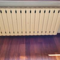 Termosifoni in ghisa 