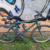 bici verde (prezzo trattabile) 