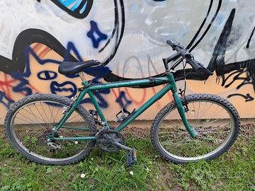 bici verde (prezzo trattabile) 