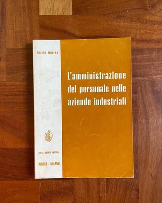 Guida pratica alle norme sul lavoro Amleto Modena