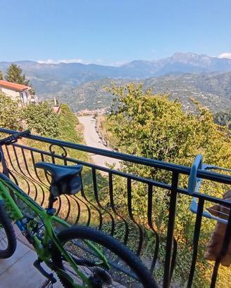 bicicletta mtb orbea 27.5 taglia M