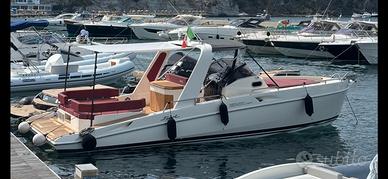 Fiart 33 sea Walker