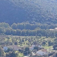 Azienda agricola/turistica