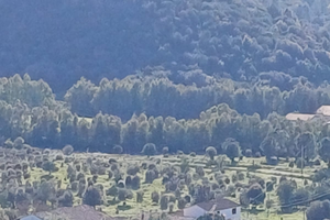 Azienda agricola/turistica