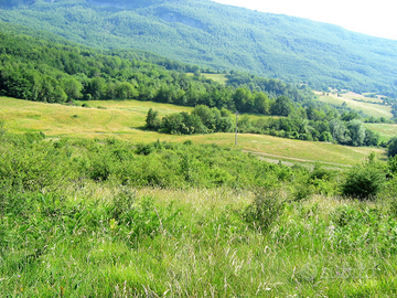 Terreni in zona Ramiseto (RE)