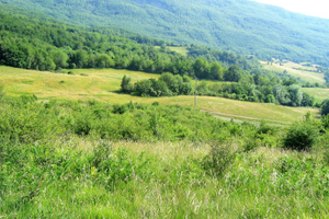 Terreni in zona Ramiseto (RE)