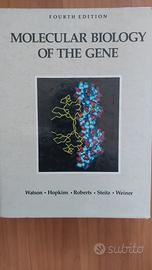 Molecular biology of the gene