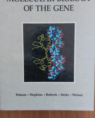 Molecular biology of the gene