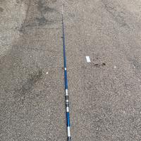 canna da pesca daiwa