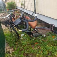 bicicletta da donna