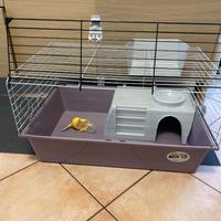 Gabbia per porcellini d’india/cavie con accessori