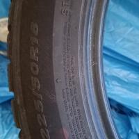 Gimme nexen invernali