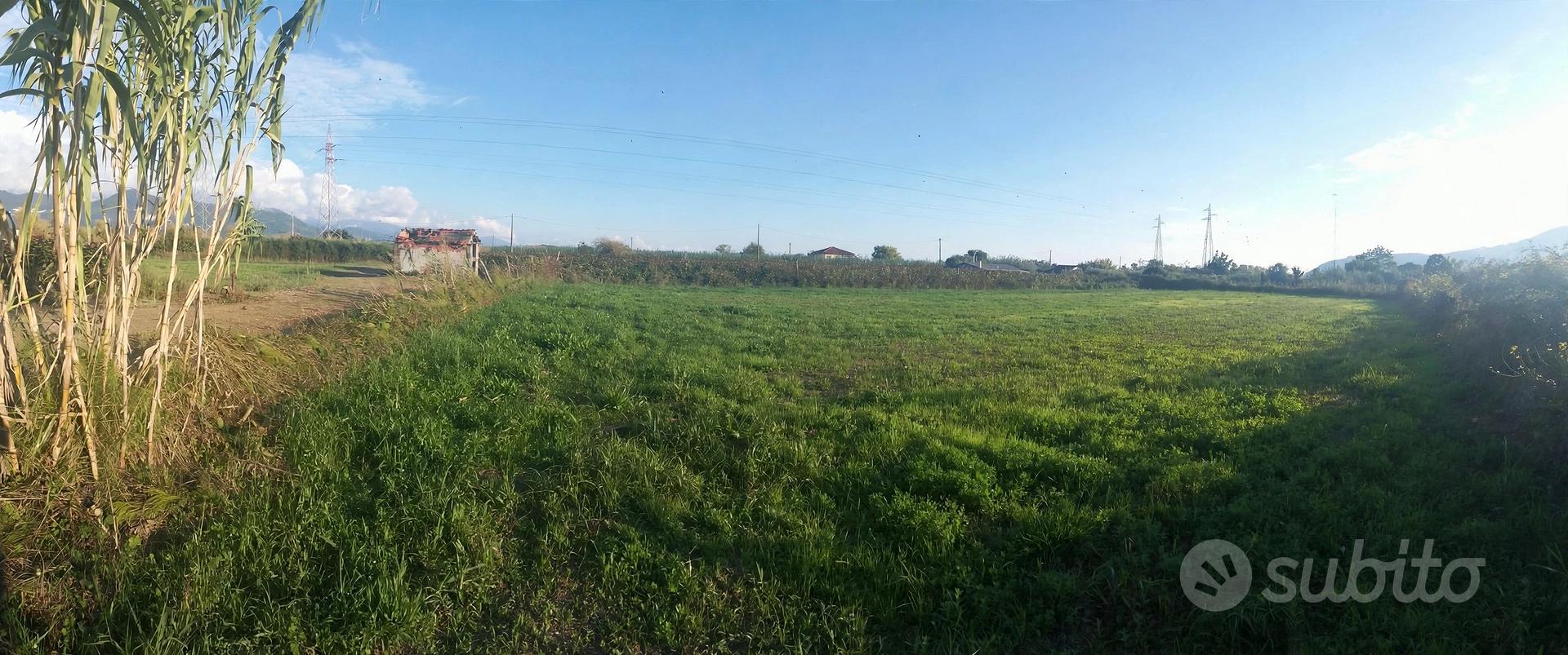 terreno agricolo - Vista 2