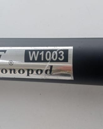 Monopiede Weifeng W1003