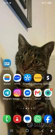 samsung zflip6