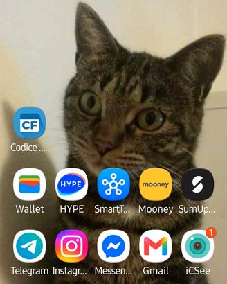 samsung zflip6