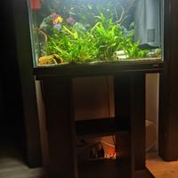 Acquario 69 litri