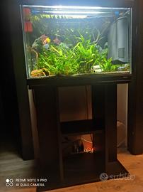 Acquario 69 litri