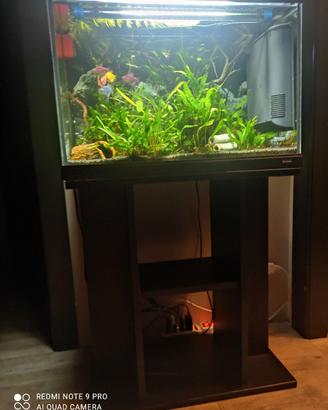 Acquario 69 litri
