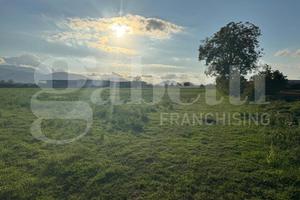 Terreno Agricolo Alife [Cod. rif 3254004VCG]