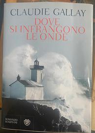 Dove si infrangono le onde di Claudie Gallay