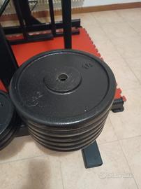 Dischi ghisa foro da 28