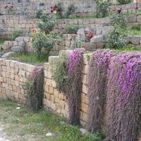BLOCCHETTI PER ARREDO GIARDINO - Pietra Carparo