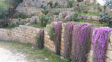 BLOCCHETTI PER ARREDO GIARDINO - Pietra Carparo