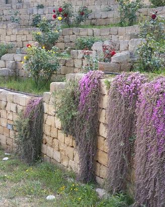 BLOCCHETTI PER ARREDO GIARDINO - Pietra Carparo