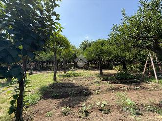 TER. AGRICOLO A ANGRI