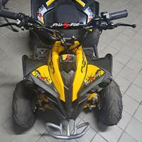 quad giallo e nero 