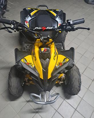 quad giallo e nero 