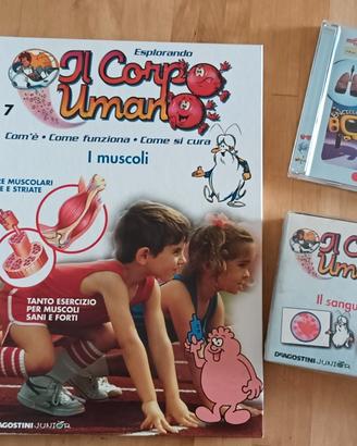 Enciclopedia Esplorando il corpo umano 