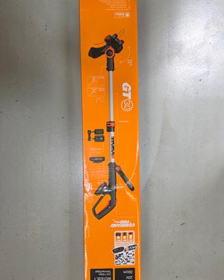 tagliabordi worx
