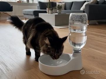 Ciotola con Distributore Automatico di Acqua