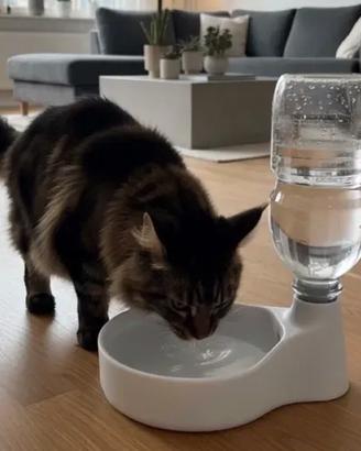 Ciotola con Distributore Automatico di Acqua