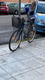 Bicicletta da passeggio bianchi