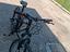 Immagine 2