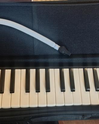 Melodica nuova honner