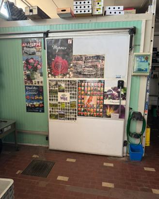 Frigo cella frigo fiori altro