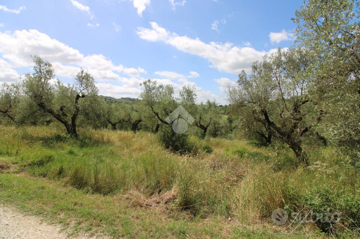 TER. AGRICOLO A MONTOPOLI DI SABINA - Vista 2