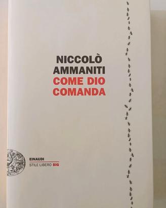 Come Dio comanda di Niccolò Ammaniti