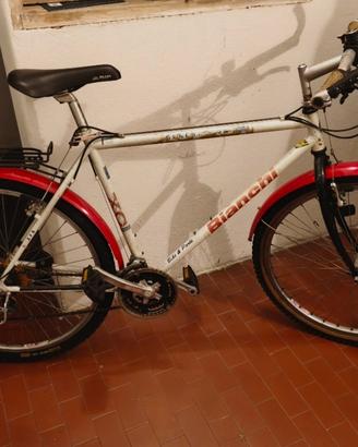 Mountain bike 