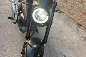 Lem brutus 110