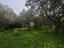 Immagine 18