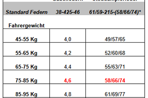 Molla mono + molla fork KTM Freeride 95-105kg