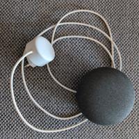 Google home mini