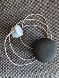 Google home mini