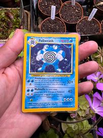 Poliwrath Set Base Holo Ita